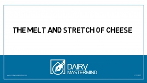 The Melt & Stretch of Cheese