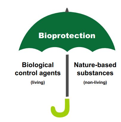 Bioprotection